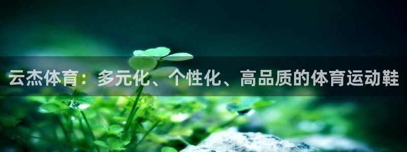 星速体育免费版：云杰体育：多元化、个性化、高品质的体育运动鞋