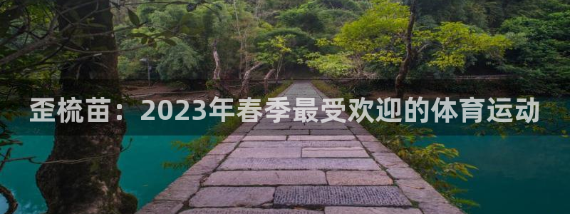 星速体育头狼：歪梳苗：2023年春季最受欢迎的体育运动