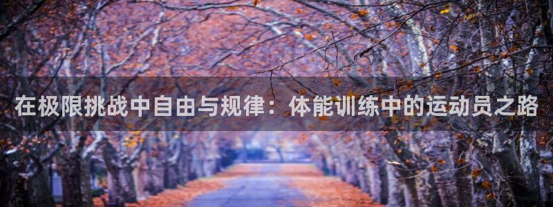 星速体育入口：在极限挑战中自由与规律：体能训练中的运动员之路