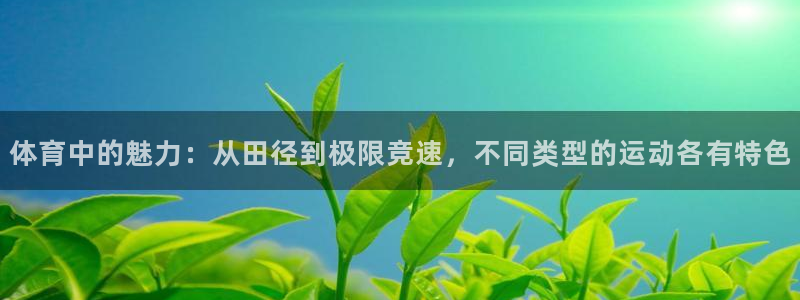 星速体育app官网下载：体育中的魅力：从田径到极限竞速，不同类型的运动各有特色