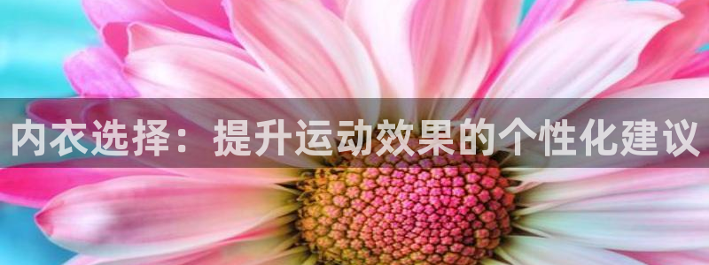 星速体育文化发展有限公司：内衣选择：提升运动效果的个性化建议
