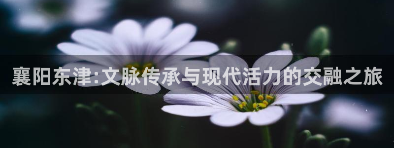 星速体育app下载安装官方最新版：襄阳东津:文脉传承与现代活力的交融之旅
