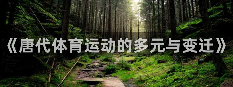 星速体育官网：《唐代体育运动的多元与变迁》