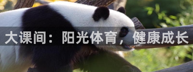 星速体育app下载安装：大课间：阳光体育，健康成长