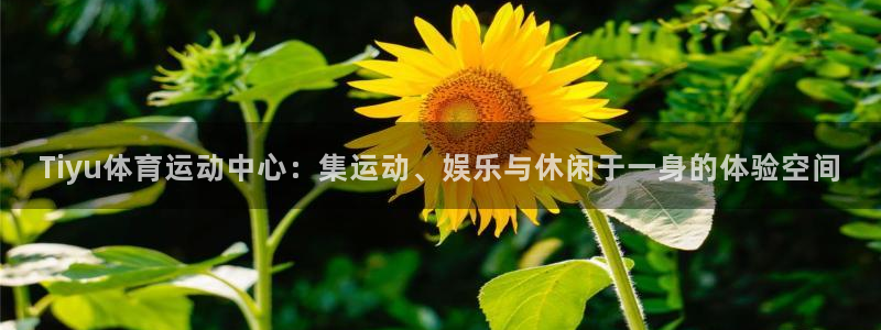 星速体育app下载安装官方最新版：Tiyu体育运动中心：集运动、娱乐与休闲于一身的体验空间