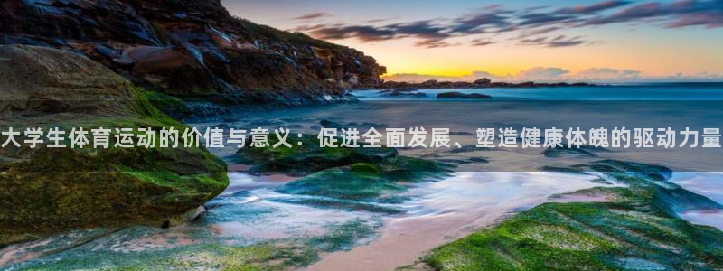 星速体育直播app：大学生体育运动的价值与意义：促进全面发展、塑造健康体魄的驱动力量