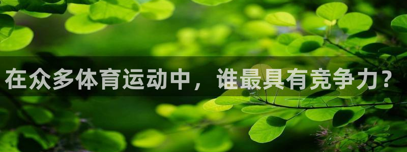 星速体育app下载安装ios：在众多体育运动中，谁最具有竞争力？