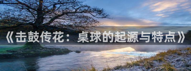星速体育app下载官网：《击鼓传花：桌球的起源与特点》