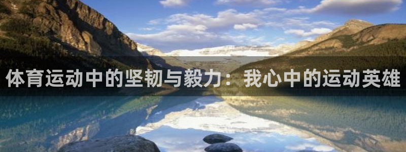 星速体育在线观看：体育运动中的坚韧与毅力：我心中的运动英雄