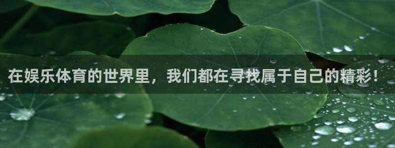星速体育直播app下载安装最新版：在娱乐体育的世界里，我们都在寻找属于自己的精彩！